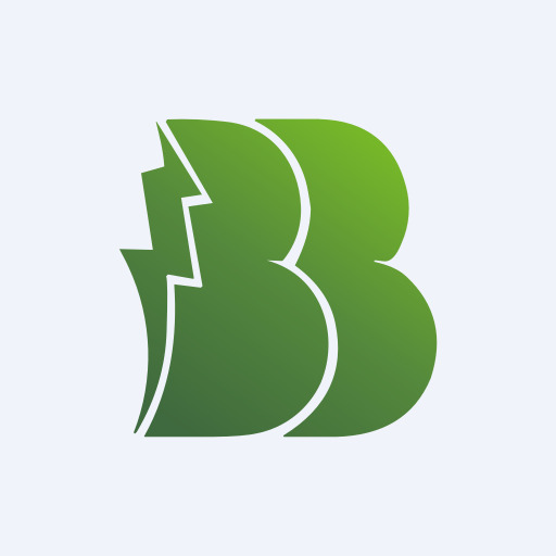 BEST BRANDS ENERJI