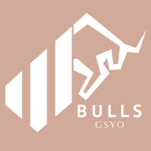 BULLS GSYO