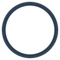 Obyte