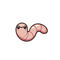 Deep Worm