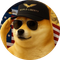 DegeCoin