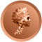 Divo