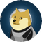 DOGE-1