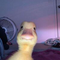 Harold