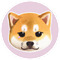 KiboShib