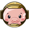 Pig Finance