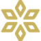 Spores Network