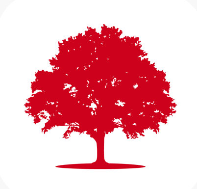 Alnus Yatırım Menkul Değerler A.Ş.