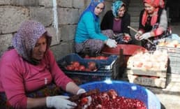 13 kilo nardan, 1 kilo nar ekşisi 