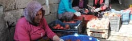 13 kilo nardan, 1 kilo nar ekşisi 