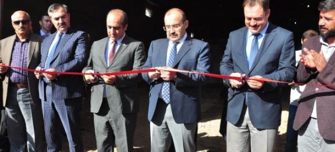 Ahlat’ta 165 bin ton patates üretimi