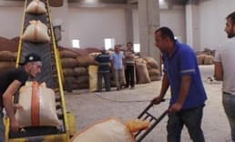 Akarsu: TMO fındığı piyasaya vermeyip ihraç etmeli