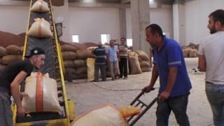 Akarsu: TMO fındığı piyasaya vermeyip ihraç etmeli