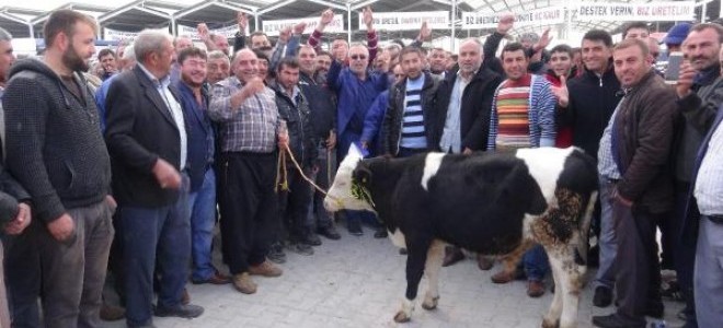 Aksaray'da et ithalatına tepki 
