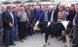 Aksaray'da et ithalatına tepki 