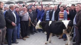 Aksaray'da et ithalatına tepki 