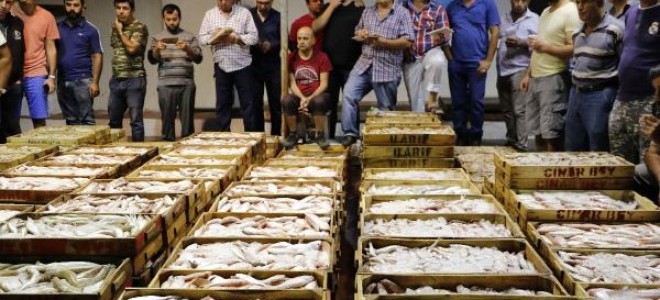 Balık halinde 1 kilo tavuk fiyatına bir kasa balık