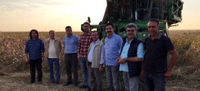 Bismil'de 'beyaz altın' hasadı başladı