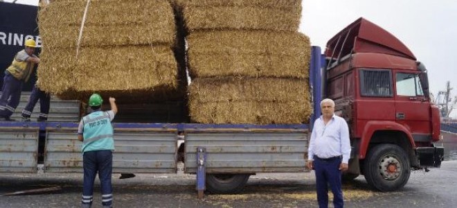 Bulgaristan'dan saman geldi