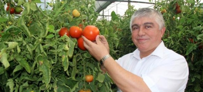 Burdurlu üretici seracılığa yöneldi