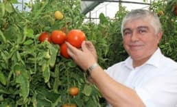 Burdurlu üretici seracılığa yöneldi