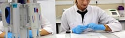 Çeltiğin DNA parmak izi çıkarıldı