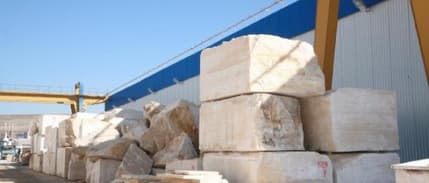 Cezayir'e konserve, mermer satalım petrol doğalgaz alalım önerisi