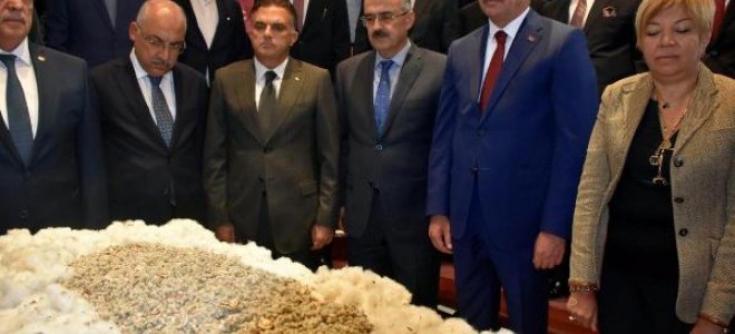 Ekonomi Bakanı Zeybekci, pamuğun ilk ürün törenine katıldı