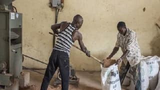 FAO: Dünyanın gıda ithalat faturası artıyor  