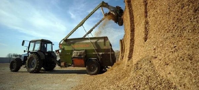 FAO: Küresel gıda fiyatları Ekim'de yıllık yüzde 2.5 düştü