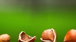 Fındıkta Ihracat Hedefi 6 Milyar Dolar 