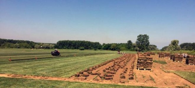 Genç girişimci, çim üretip ihraç ediyor