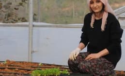 Giresun’da kadın çiftçiler aldıkları hibelerle üretime başladı