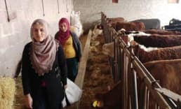 Girişimci Eltiler Besi Çiftliği Kurdu