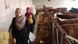 Girişimci Eltiler Besi Çiftliği Kurdu