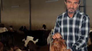 Hibeyle Kurduğu Işletmede Keçi Eti Ve Sütü Üretiyor