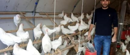 İstanbul'dan memleketine döndü, yumurta üreticisi oldu