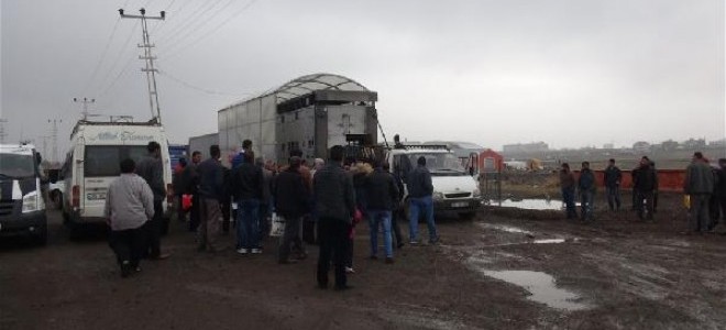 Köyüne dönen çiftçiye 6'şar düve