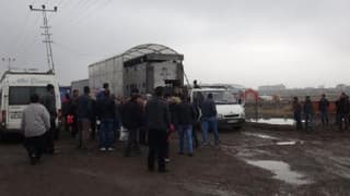 Köyüne dönen çiftçiye 6'şar düve