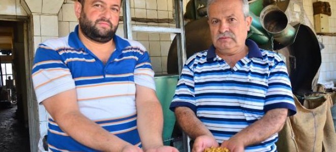 Kula leblebisi Bulgar nohutundan 