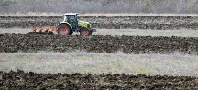 Küresel tahıl üretimi artarken tüketim ve stoklar yükseliyor