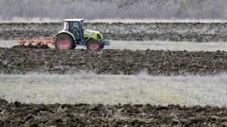 Küresel tahıl üretimi artarken tüketim ve stoklar yükseliyor