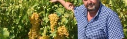 Kuru Üzüm Üreticisi Kilosuna 9 Tl Fiyat Istiyor