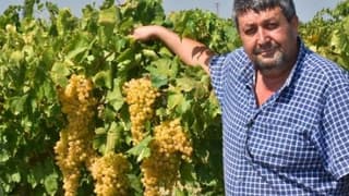 Kuru Üzüm Üreticisi Kilosuna 9 Tl Fiyat Istiyor