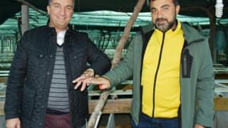 Kuşadası'nda salyongoz üretecekler