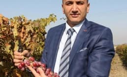 Manisa'da iki yeni üzüm çeşidi tescillendi