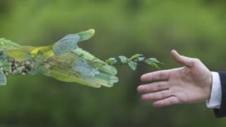 Mediamarkt  Yarım Milyon Megavat Enerji Tasarruf Etti