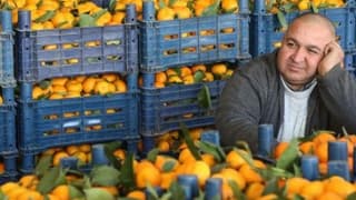 Narenciye Bu Yıl Da Para Etmedi