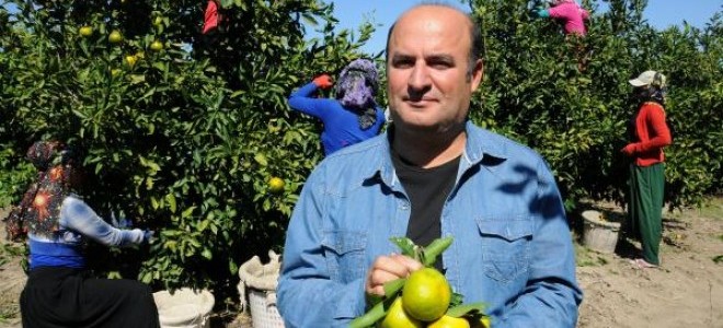 Narenciye üreticisi 60 liraya işçi bulamıyor
