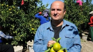 Narenciye üreticisi 60 liraya işçi bulamıyor